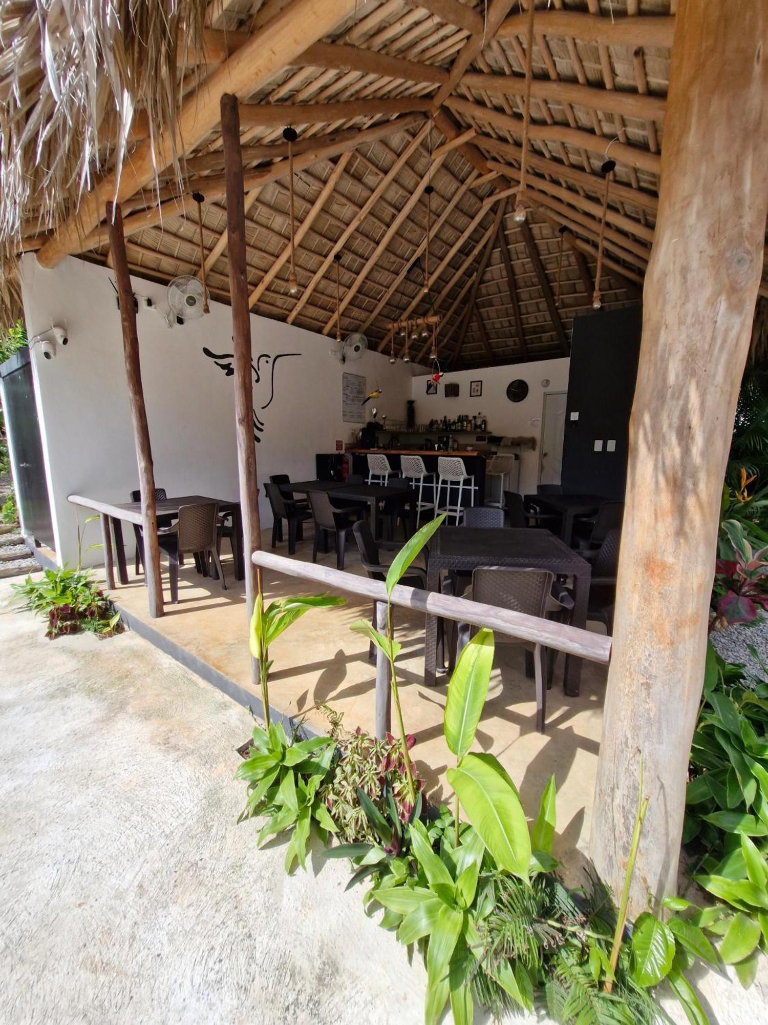 Bungalows Colibri Las Galeras Exterior foto