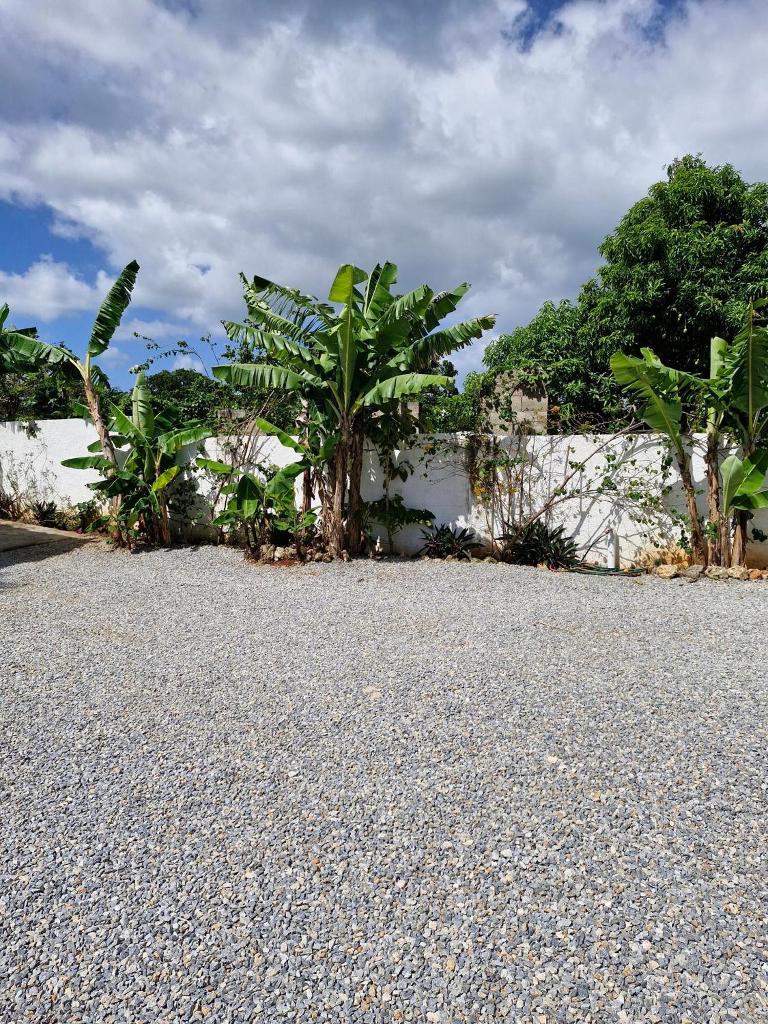 Bungalows Colibri Las Galeras Exterior foto