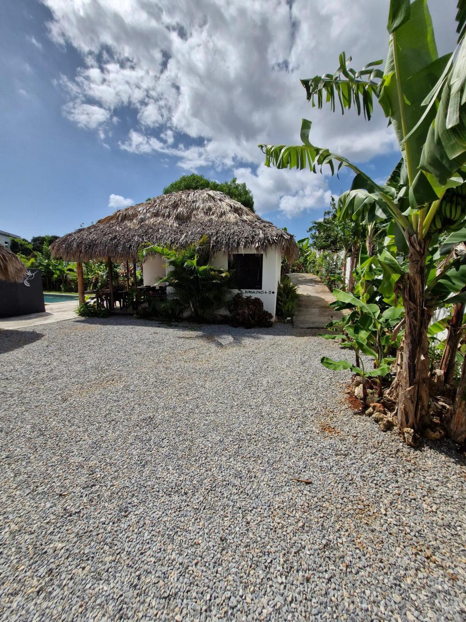 Bungalows Colibri Las Galeras Exterior foto