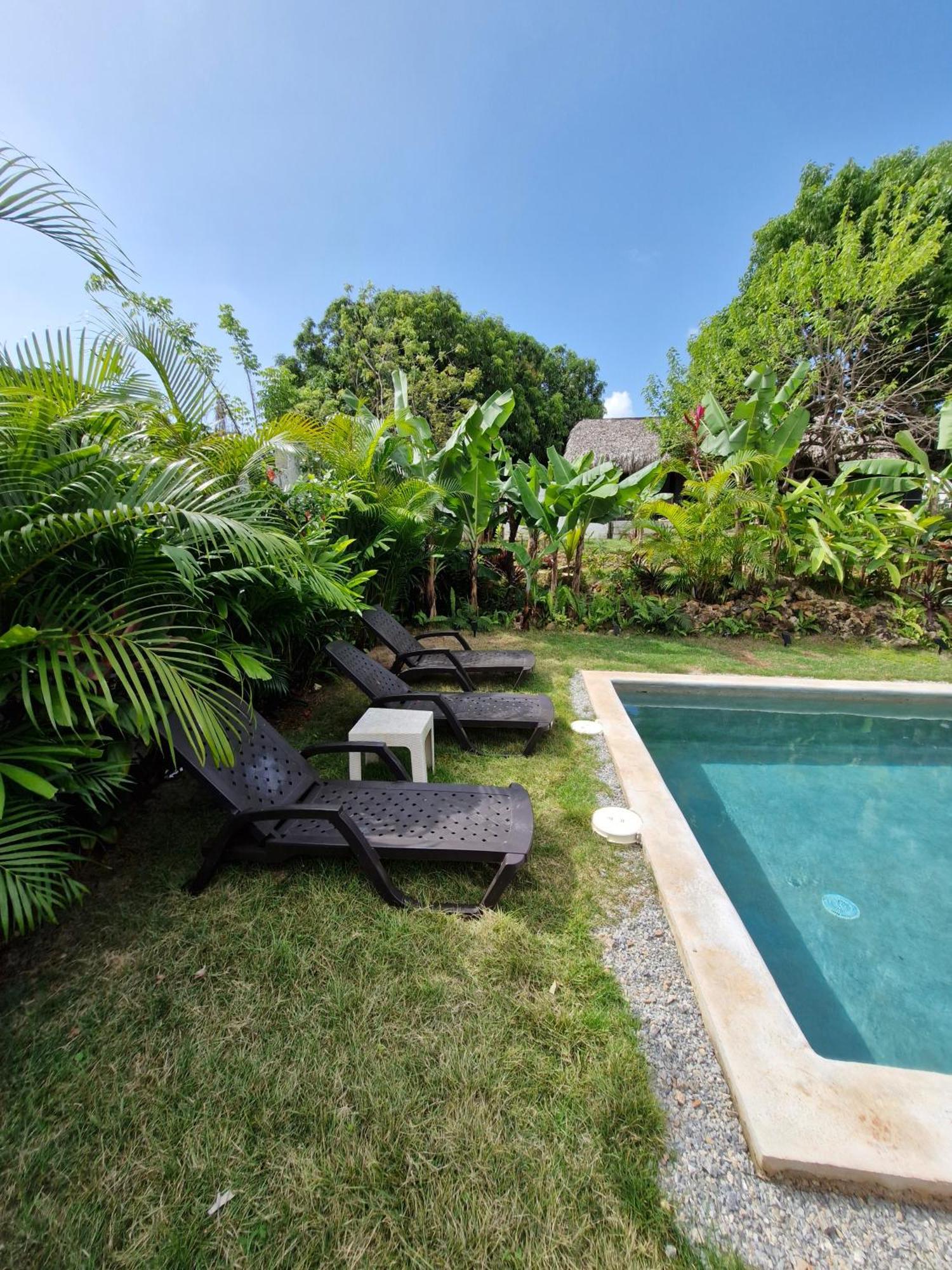 Bungalows Colibri Las Galeras Exterior foto